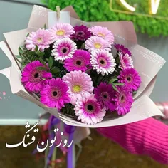 🌸 میگن آرزوهای خوب 