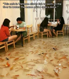 یه ایده ی جالب و زیبا 😍 .رستورانی در ویتنام که کف اون پر 