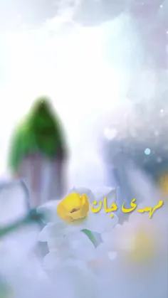 مهدی جان 🤍