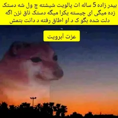 عزت آبرویی هیچ