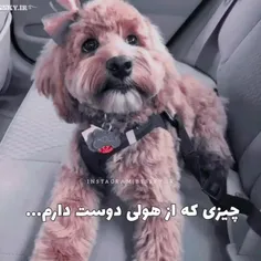 فقط باباشع🥺🤤