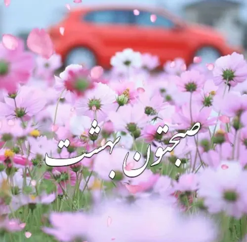 🌷دریافت انرژی مثبت🌷