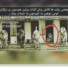 کمی فکر کن..