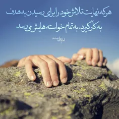 آیات محکمات خدا مدح #حیدر است/