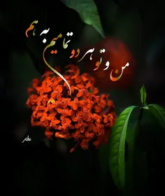 شبتون پرستاره