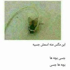 جسی سلام کن به بچه هااا