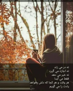 نه در می زند 