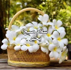 عاشقانه ها ali999999 28590510