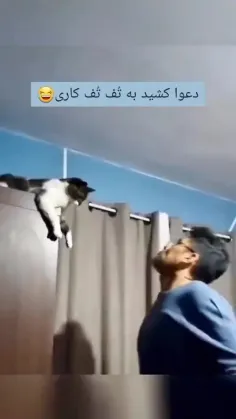 بفرس بره😂😂😂