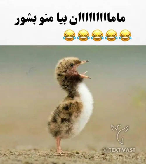 جرمم هشتک اعتراف کنید کیا میگفتن؟🤣