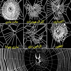 ناسا برای اینکه تاثیرات مواد روان گردان را بررسی کند تعدا