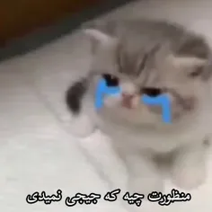 دوستدختر بدید زن زندگی باشه😡