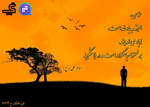 امام علی (ع) می فرمایند: