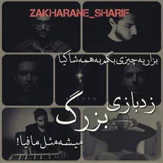 #Zedbazi♬