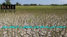 به صدا درآمدن زنگ خطر بحران خشکسالی در آذربایجان شرقی