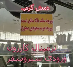 واقعا دمش گرم داره