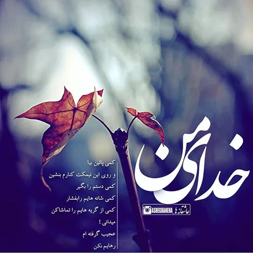 عکس نوشته f....teima 25123531 - عکس ویسگون