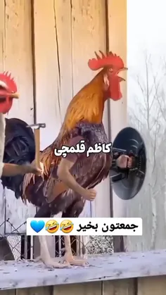 حمله به سوی آخرین آزمون...😂