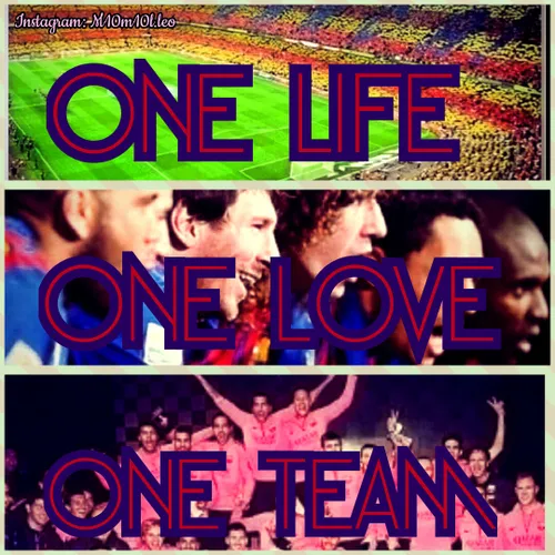 یک زندگی! یک عشق! یک تیم!