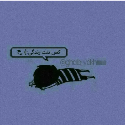 کص ننت زندگی