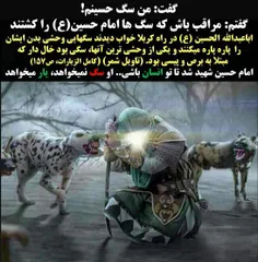 شخصی arefzombiee 21168399