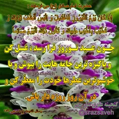 #حضرت_امام_صادق_ع می فرمایند :