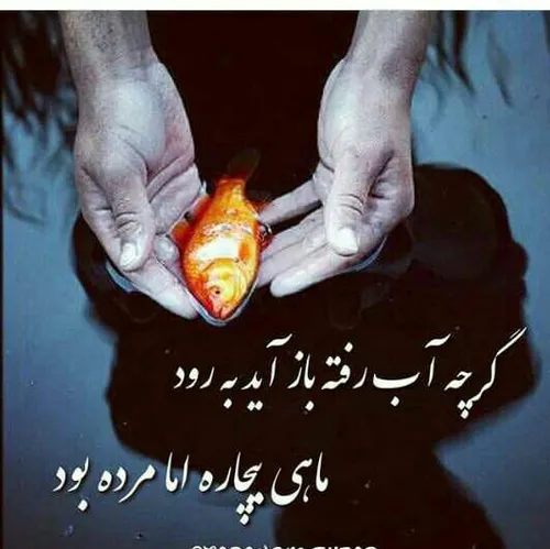 عکس نوشته مطلب