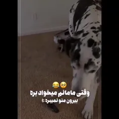 و میگن میریم امپول بزنیم💔🙃