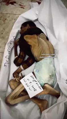 جهانی در سایه حقوق بشر و سازمان ملل و شورای امنیت و این د