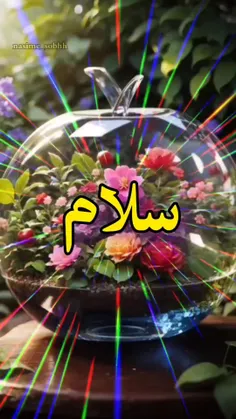 همیشه سبز با طراوت شاداب *Arvij *