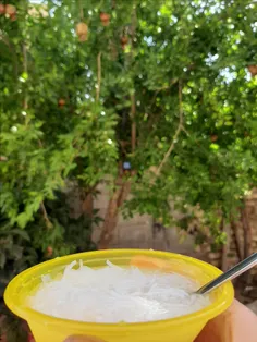 فالوده شیرازی😋 ❤ 🌸 