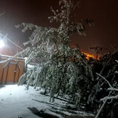 جوری که برف حیاط خونمون رو قشنگ میکنه🥹حیحی