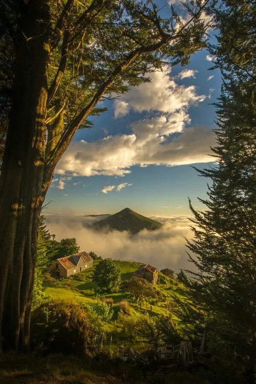 Nature landscape Sunset dunedin newzealand mountainous tr