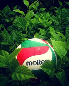 #volleyballi❤  💪