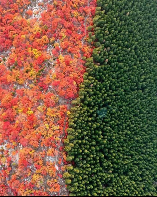 پاییز در چین