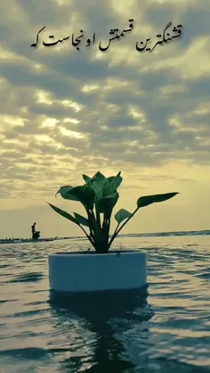 تو قشنگ ترین عشق پنهان منی 🥰