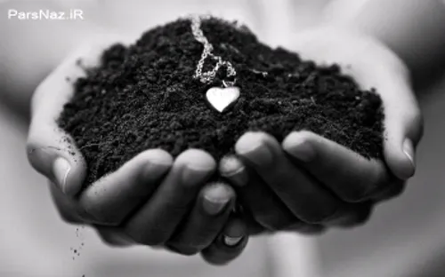 قلبم تقدیم تو خاک که پاک ترینی