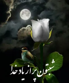 شب همیه عزیزان بخیر