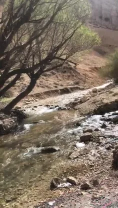 جای دوستان عزیز امروز خالی