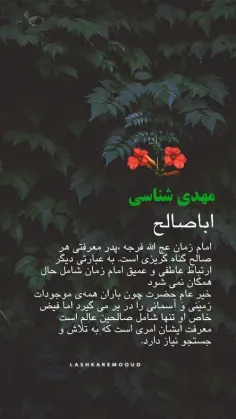 امام شناسی