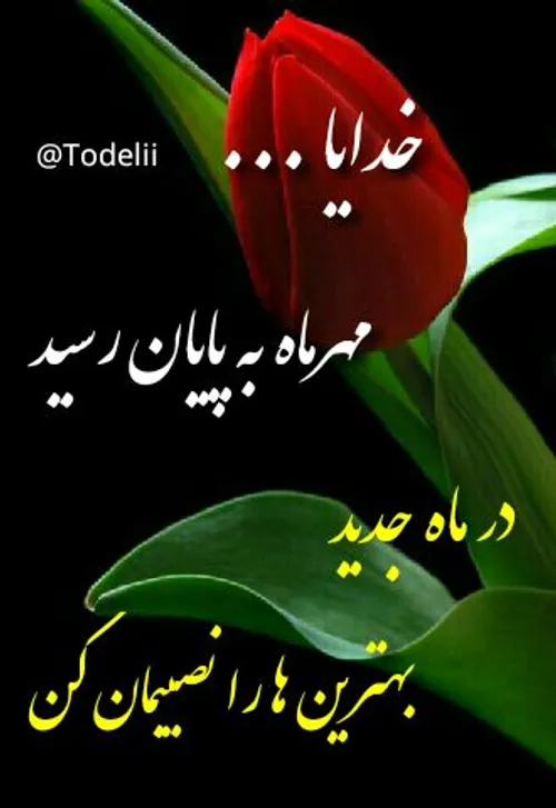 آمین آمین آمین