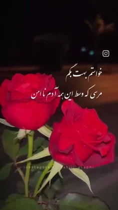 مرسی ک‌ کنارت خود‌واقعیمم......