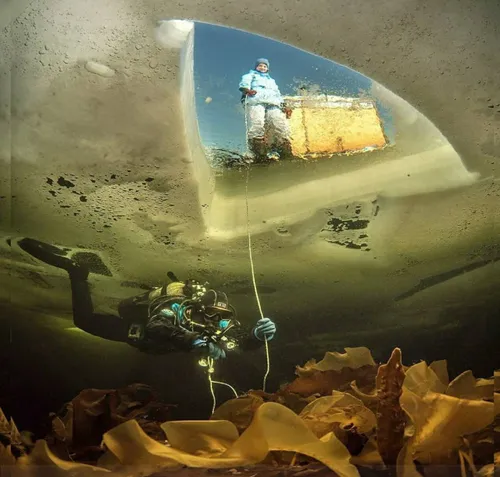 تصویر شگفت انگیز از زیر دریای منجمد روسیه