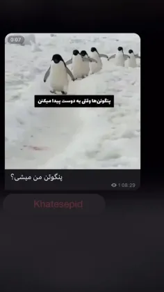 میشی ایا؟:)