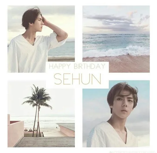 happy sehun day