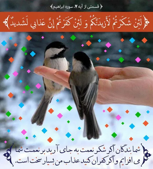 🍃 امام علی ع🍃