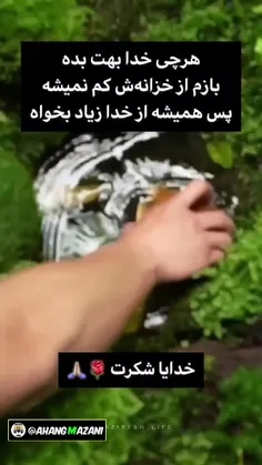 خدایا شکرت که کنار ما هستی 