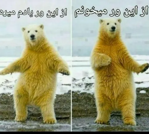 شرح حال من تو دوران امتحانات 😟 😄