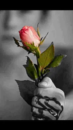 تقدیم برای تو