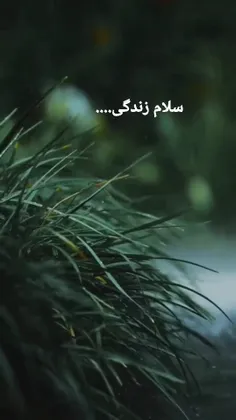 سلام زندگی...